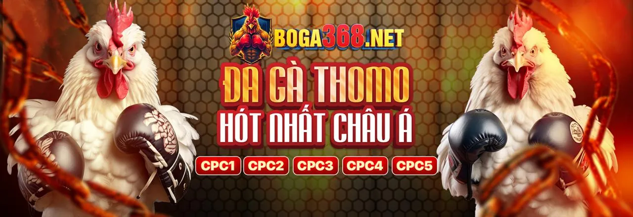 Biện pháp bảo mật và quyền riêng tư của 888now999